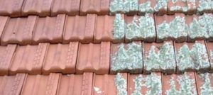 5 Main Causes of a Leaking Roof