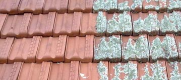Tiled roof restored to original colour by ReKote Roofing in Wollongong