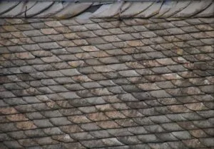 Hail-damaged roof shingles with visible impact marks and cracking
