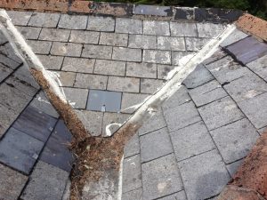 Experts in Roof Restoration