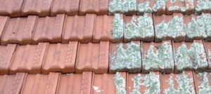 Experts in Roof Restoration