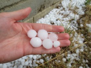 Hail stones in hand